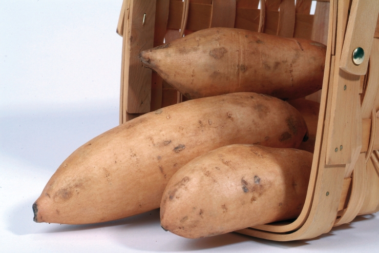 Архив Батат Бонита, кассета