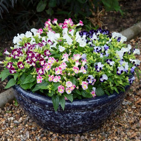 Торения ХАЙ ЛАЙТ МИКС (драже)